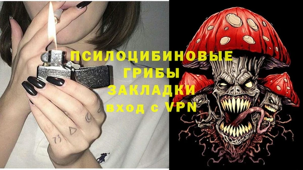индика Волосово