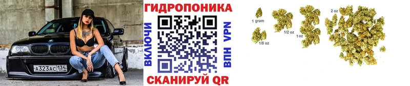 Марихуана марихуана  Гулькевичи 
